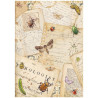 Stamperia All Around A4 Rice Paper Selection 6 fogli