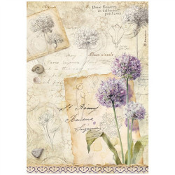 Stamperia All Around A4 Rice Paper Selection 6 fogli