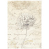 Stamperia All Around A6 Rice Paper Backgrounds Selection 8 fogli