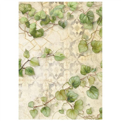 Stamperia All Around A6 Rice Paper Backgrounds Selection 8 fogli