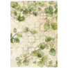 Stamperia All Around A6 Rice Paper Backgrounds Selection 8 fogli