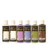 Stamperia All Around Allegro Paint Kit 6pezzi