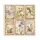 Stamperia All Around SINGLE FACE Paper Pack 20x20cm