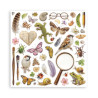 Stamperia All Around SINGLE FACE Paper Pack 20x20cm