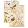 Stamperia All Around Junk Journal A5 Focus Points