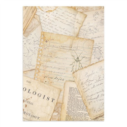 Stamperia All Around Art A4 Junk Journal