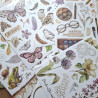 Stamperia All Around A5 Washi Pad 8pz