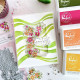 Pinkfresh The Couture Edit Stencil Fragrance Notes