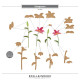 Spellbinders Summertime Etched Dies Stargazers by Lisa Horton
