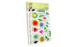 GLIMPS CLEAR STAMPS - GCS 26-228 FIORI DI CAMPO