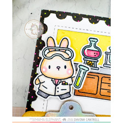 Mama Elephant SCIENCE CLASS Clear Stamp