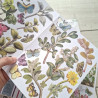ARDEN Creative Studio Garden Chronicles Laser Cuts (78pz)