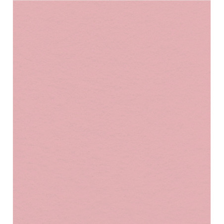 Pannolenci Rosa Pastello 1 mm