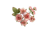 Prima Marketing Homegrown Flowers Garden Rose Blush by The 3 Girls Tale 10pz