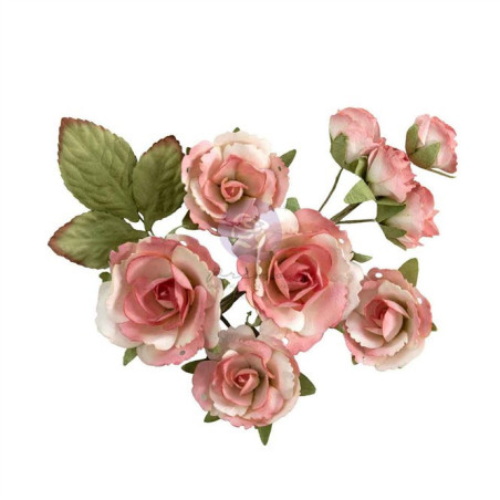 Prima Marketing Homegrown Flowers Garden Rose Blush by The 3 Girls Tale 10pz