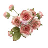 Prima Marketing Homegrown Flowers Garden Rose Blush by The 3 Girls Tale 10pz