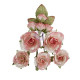 Prima Marketing Homegrown Flowers Garden Rose Blush by The 3 Girls Tale 10pz