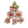 Prima Marketing Homegrown Flowers Garden Rose Blush by The 3 Girls Tale 10pz