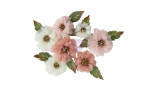 Prima Marketing Buttons & Keepsakes Flowers Sheer Beauties by Frank Garcia 14pz