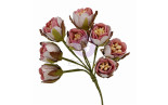 Prima Marketing Buttons & Keepsakes Flowers Tattered Millinery by Frank Garcia 8pz
