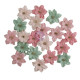 Prima Marketing Buttons & Keepsakes Flowers Delicate Trimmings by Frank Garcia 20pz