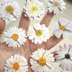 Craft Consortium 3D Decoupage Stickers Flowers 004 12pz