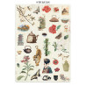 Stamperia Oriental Garden A4 Junk Journal Stickers, Backgrounds, Cut-Outs