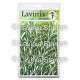 Lavinia Stamps Flora Stencils