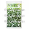 Lavinia Stamps Flora Stencils