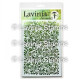Lavinia Stamps Feather Leaf Stencils