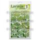 Lavinia Stamps Pods Stencils