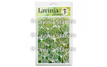 Lavinia Stamps Pods Stencils