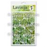 Lavinia Stamps Pods Stencils