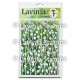 Lavinia Stamps Berry Stencils