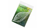 Lavinia Stamps Tall Leaf Mask Stencils