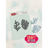 Craft&You Marine Plants 1 Dies
