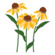 Spellbinders Cascading Coneflowers I Want It All! Bundle by Simon Hurley