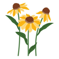 Spellbinders Cascading Coneflowers I Want It All! Bundle by Simon Hurley
