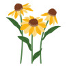 Spellbinders Cascading Coneflowers I Want It All! Bundle by Simon Hurley
