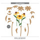 Spellbinders Cascading Coneflowers Etched Dies Wild Coneflowers by Simon Hurley
