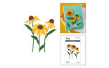 Spellbinders Cascading Coneflowers Etched Dies Wild Coneflowers by Simon Hurley