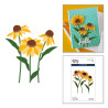 Spellbinders Cascading Coneflowers Etched Dies Wild Coneflowers by Simon Hurley