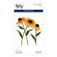 Spellbinders Cascading Coneflowers Etched Dies Wild Coneflowers by Simon Hurley