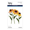 Spellbinders Cascading Coneflowers Etched Dies Wild Coneflowers by Simon Hurley