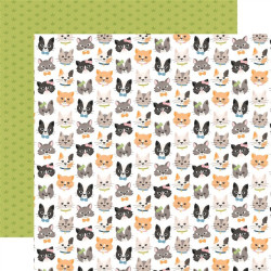 Echo Park Cat Lover Collection Kit 30x30cm