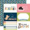 Echo Park Cat Lover Collection Kit 30x30cm