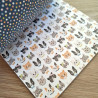Echo Park Cat Lover Collection Kit 30x30cm