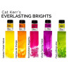 Lindy's Stamp Gang Everlasting Brights Magical Shaker 2.0 SET by Cat Kerr