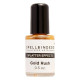 Spellbinders Gold Rush Splatter Effects