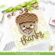 LAWN FAWN Stitched Acorn Frame Dies